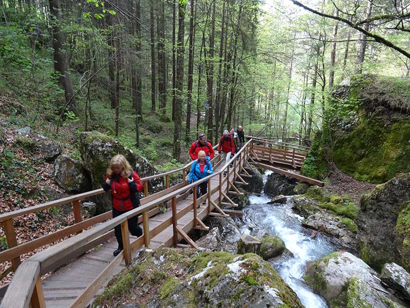 Steinwandklamm